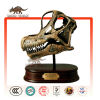 Brachiosaurus Head Fossil Gift