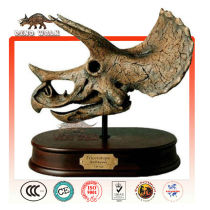 Mini Triceratops Head Skeleton Gift