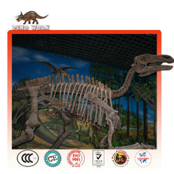 Qualität museum dinosaurier-fossil replik