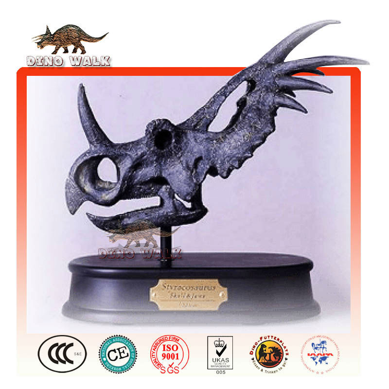 la cabeza styracosaurus réplica de fósiles