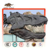 Biggest Tyrannosaurus Head Skeleton