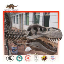 Yongchuanosaurus Fossil Replica