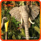 Animatronics  Elephants