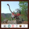 Theme Park Jurrasic Giant Dinosaur For Sale