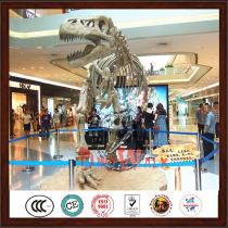 Dinosaur skeleton exhibition in the mall
