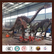 Manufacture  dinosaur skeleton model