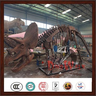 Magic dinosaur fossil for sale