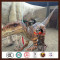high quality animatronic Dilophosaurus model for dinosaur park