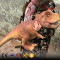 low price animatronic dinosaur hand puppet