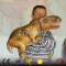 Baby animatronic T-rex dinosaur hand puppet for sale