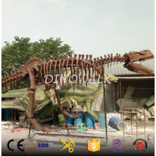 Realistic Dinosaur Skeleton Bone Model for Sale