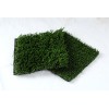 Artificial Pet Grass