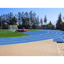 EPDM Rubber Granules For Athletic running track