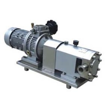 Cam Rotor pump