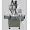 Automatic Power rotary Filling Machine