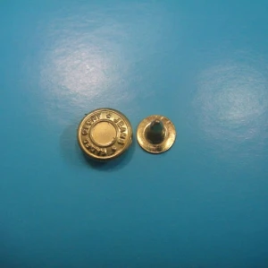 Flat Head Rivet Nut