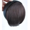 Headband Bang Fringe Neat Hair Extensions Accessories -AP23