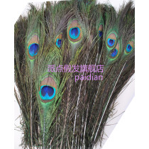 True Peacock Feather  - PP90
