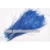 peacock feather -PP89
