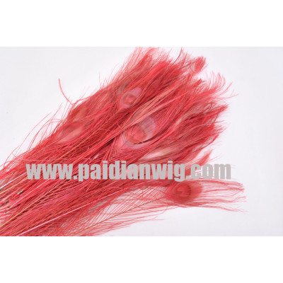 Peacock feather -PP89(3)