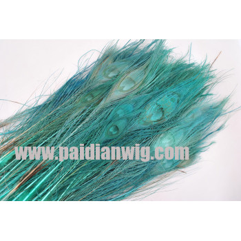 Peacock feather -PP89(4)