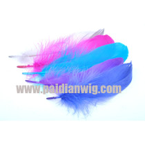 Colors feather -PP95