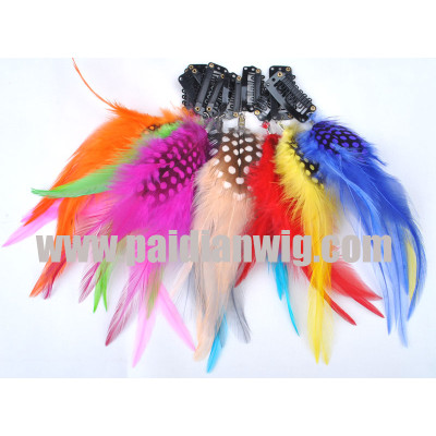 Clip in Feather Hair Extensions  PP86