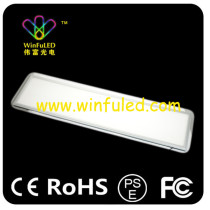 1900-2100Lm LED panel light 1200*300mm