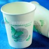 paper cup for hot drinks