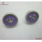 Hot Sale Earring for Christmas Gift,316L Steel Button Enamel earrings/Purple