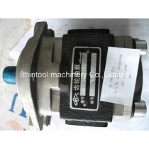 Hangcha forklift parts:GR501-601300-G00  Gear pump