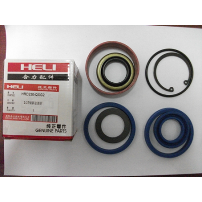 Heli forklift parts:HRD230-QXGα Kit for lift cylinder
