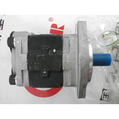 Baoli forklift parts:TSHSGP1A32D2HH1-L025 Hydraulic Pump
