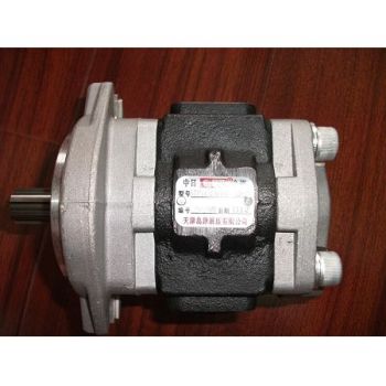 Baoli forklift parts:Hydraulic pump :  SCP1A32A1HH1-L057C