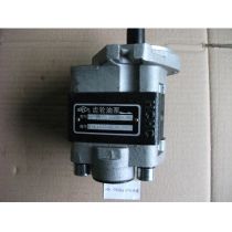 Hangcha forklift parts Gear pump : CBHZG-F25-ALΦL