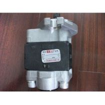 Maximal forklift parts:Hydraulic pump for Chinese engine:M3037608100