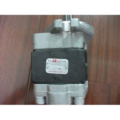 Maximal forklift parts:Hydraulic pump for ISUZU engine:M3037608200