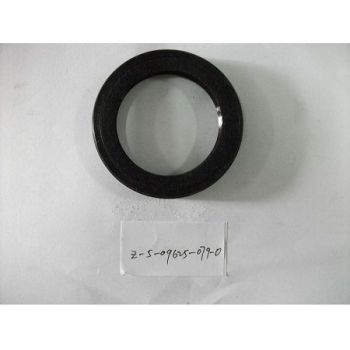 TCM part :Oil seal：Z-5-09625-079-0