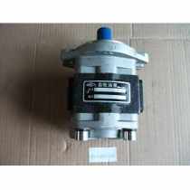 Hangcha forklift part Gear pump GR501-601300-000