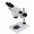 zoom stereo  microscope