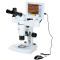 SZ810 parallel stereo  microscope