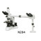 N204 multi-viewing  microscope