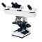 BM510 Multi-viewing Biological  Microscope