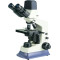 D180B  Camera Video  microscope