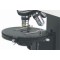 P400 polarizing microscope
