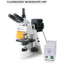 146Y  fluorescent microscope
