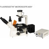 403Y fluorescent microscope