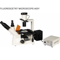 403Y fluorescent microscope