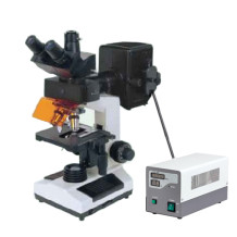 N107F  fluorescent microscope