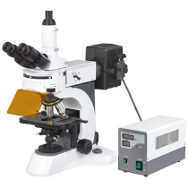 N800F  fluorescent microscope